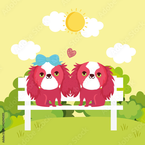 lovely couple dogs