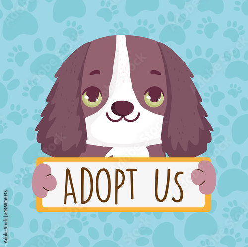 dog with adopt us banner