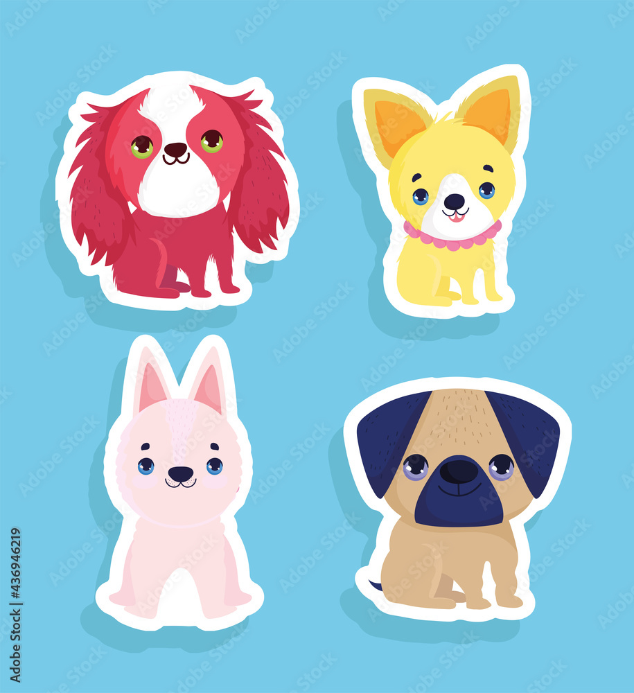 small dogs set small dogs set