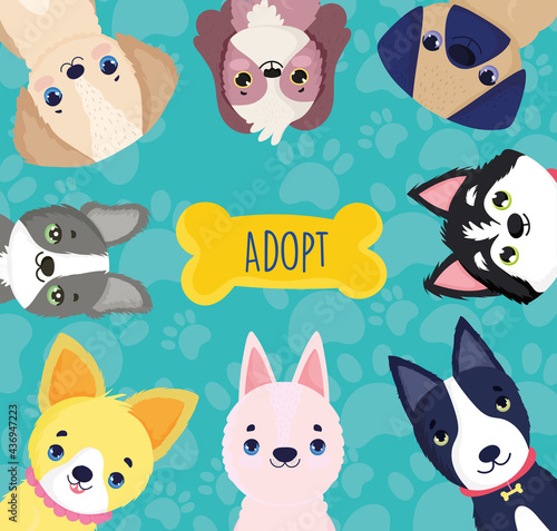 adopt pets dogs cartoon