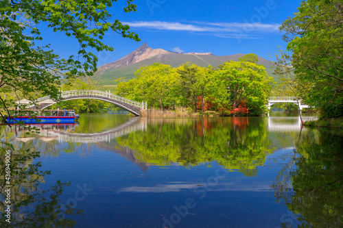 Wallpaper Mural 大沼国定公園ツツジ咲く大沼湖畔 Torontodigital.ca