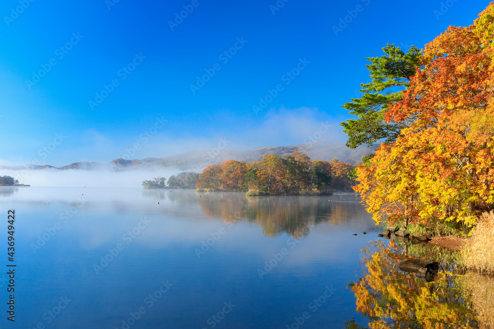 大沼国定公園朝霧湧く紅葉の小沼湖畔