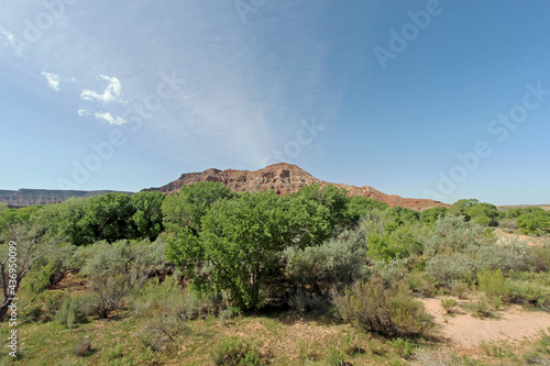 A road in Utah with Mountains and trees