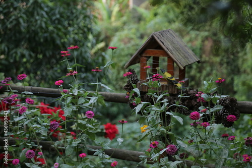 CASINHA DE JARDIM