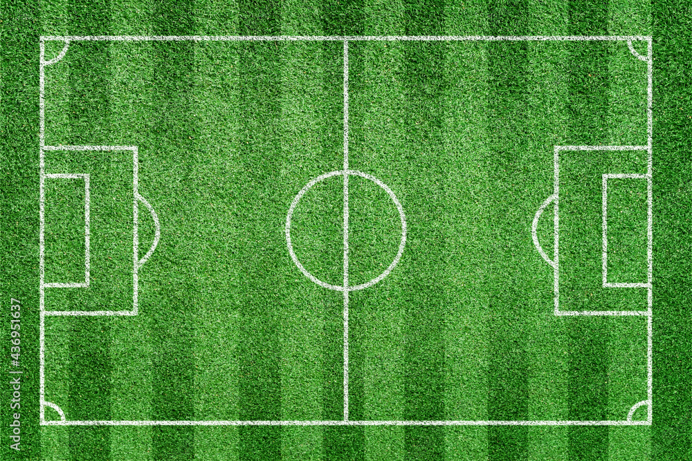 Soccer field. Stripe grass football stadium. Green lawn with white lines pattern. Top view