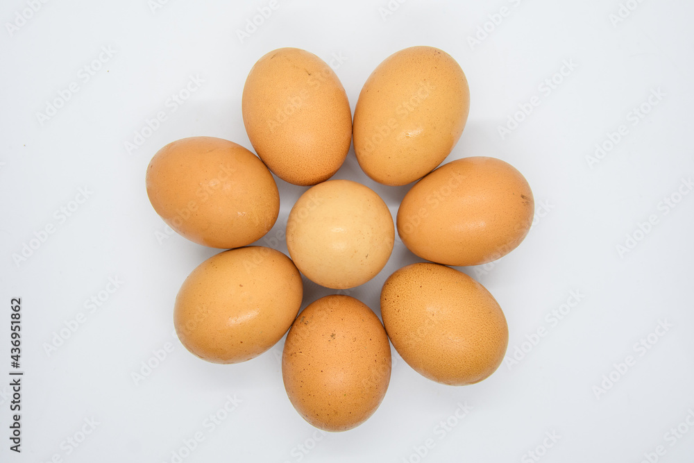 Circle of eggs Circle of eggs