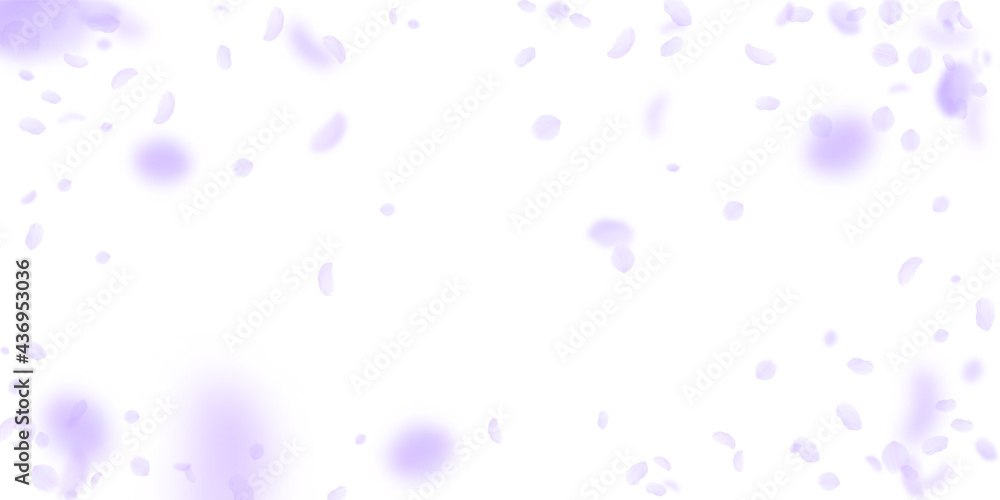 Violet flower petals falling down. Ideal romantic