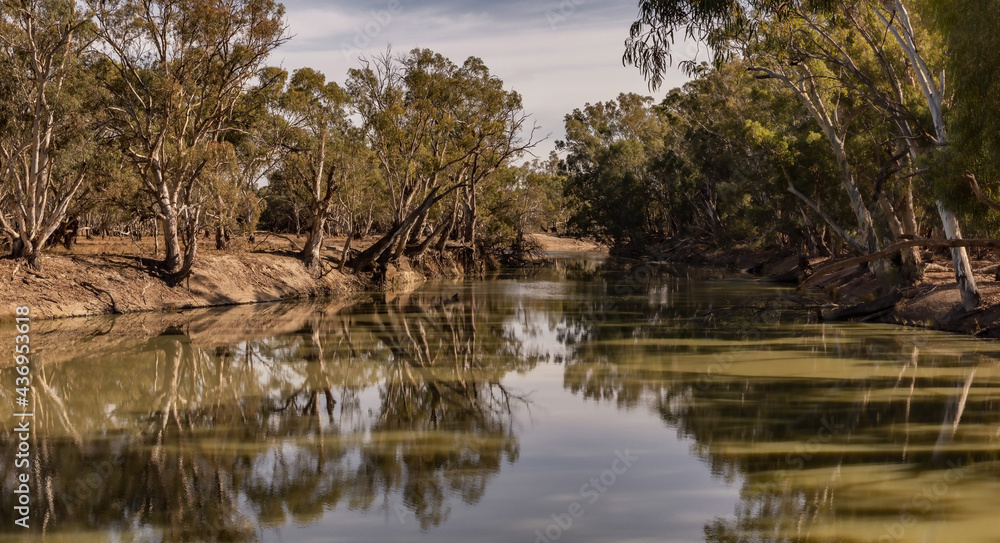 Reflections in the Murrumbidgee River - Yanga National Park, Balranald, NSW