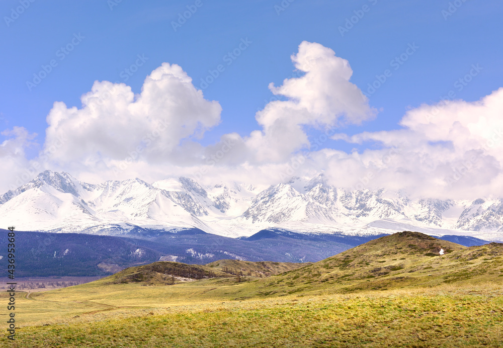 Obraz premium Kurai steppe in spring. Dry grass on the slopes, snow-capped peaks of the mountains of the Northern Chui range under a cloudy blue sky. Gorny Altai, Siberia, Russia