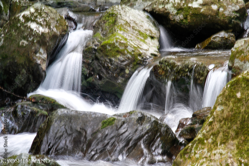 Fototapeta premium nature fall