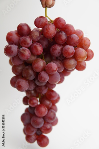 Hand holding fresh and ripe red grapes isolated in white background. Bunch of raw and juicy grapevines