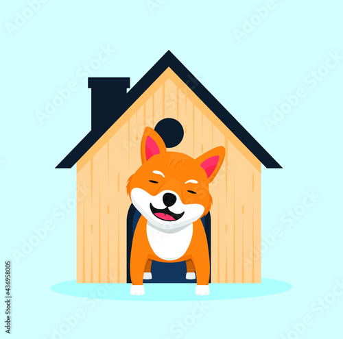 Shiba Inu Dog at Home