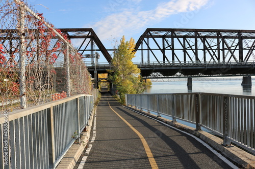 bridge over the river