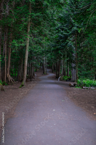 A curved pedestrian footpath/walkway in a suburban Colliery Dam Park, Nanaimo, Vancouver Island, Bc