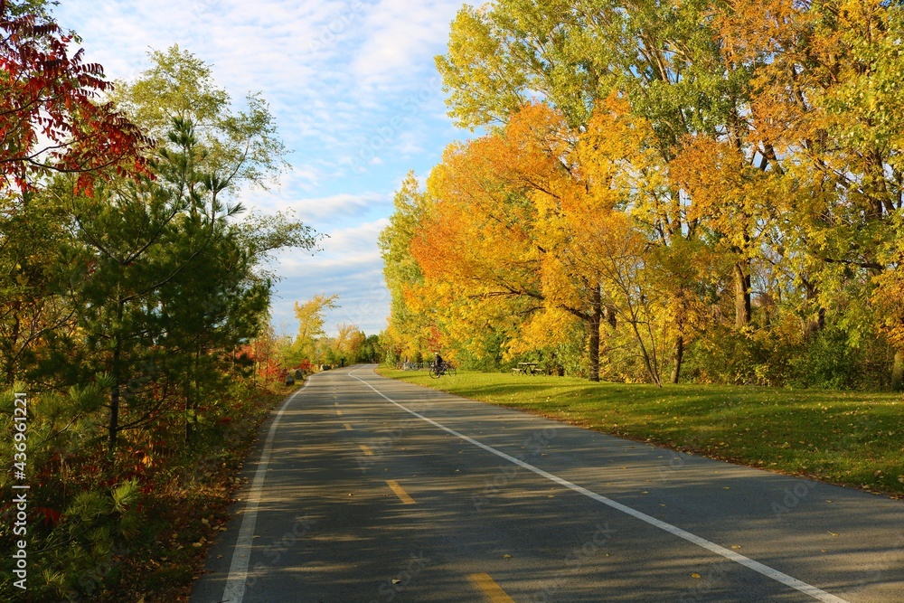 Fototapeta premium road in autumn