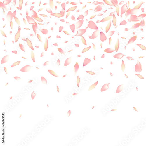 Purple Rose Petal Vector White Background. Pink