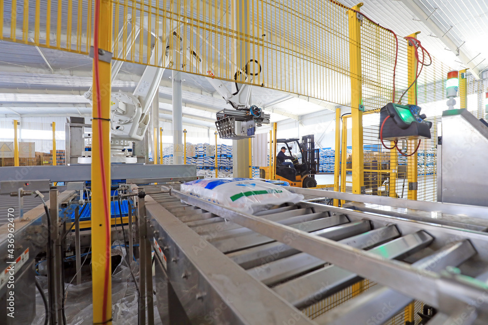Intelligent robots are busy in salt packaging production line, North China