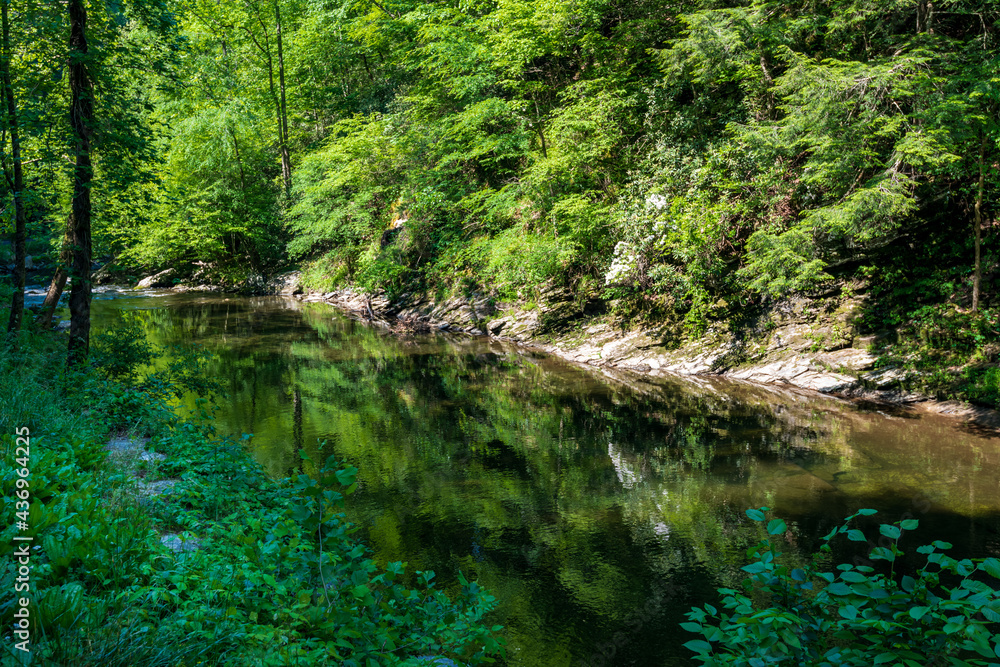 Pigeon River in The Great Smoky Mountains Pigeon River in The Great Smoky Mountains
