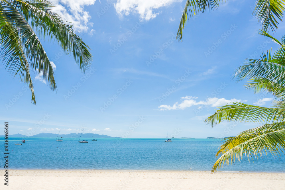 Beautiful Island with Ocean Wave on Sandy Beach and Coconut tree