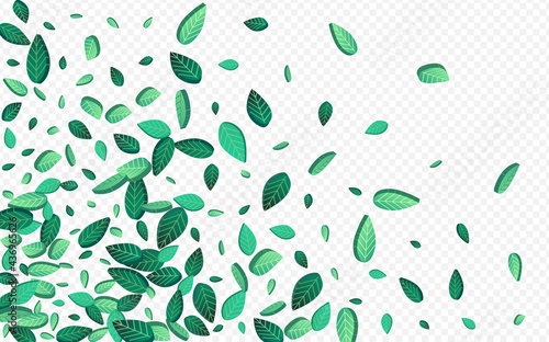 Green Leaves Wind Vector Transparent Background