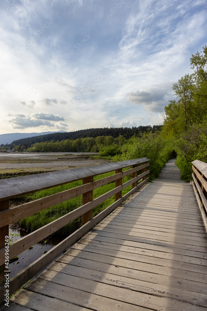 View of a Wooden Path with fresh green trees in Shoreline Trail, Port Moody, Greater Vancouver, British Columbia, Canada. Trail in a Modern City during a Sunny Evening.