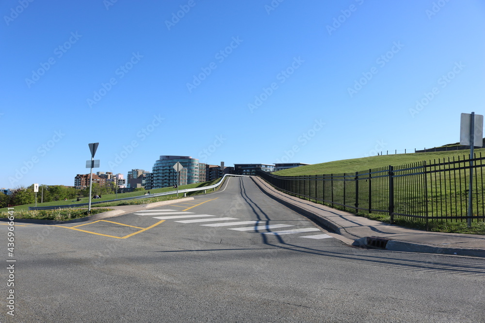 Naklejka premium bridge in the park