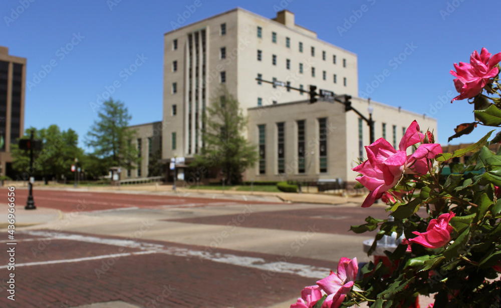Pink Roses With Smith County Courthouse Tyler, TX in Background