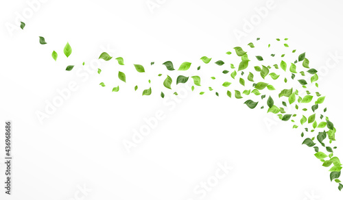 Lime Leaves Forest Vector White Background