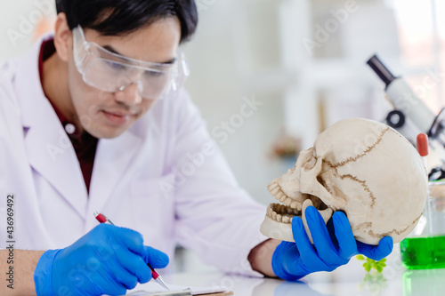 Foto Asian Male working in Physical Scientist and Anthropology in biology science lab research study in human bone and skull