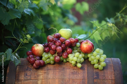 Red and white grapes with apples on a barrel in a vineyard
