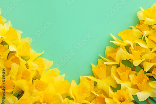 Fototapeta Naklejka Na Ścianę i Meble -  Beautiful daffodils on color background