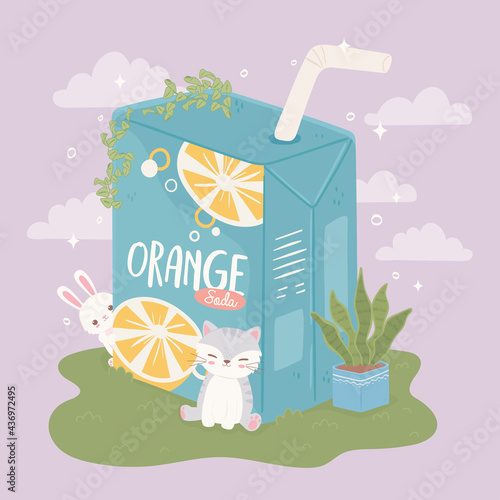 cute cat and juice box