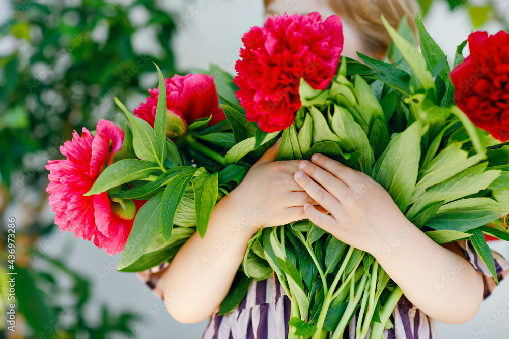 Close-up of huge bouquet of blossoming red and pink peony flowers holding in hands of little toddler girl. Close up of blooming flower arrangement. Child with peonies for mother or birthday. Close-up of huge bouquet of blossoming red and pink peony flowers holding in hands of little toddler girl. Close up of blooming flower arrangement. Child with peonies for mother or birthday.