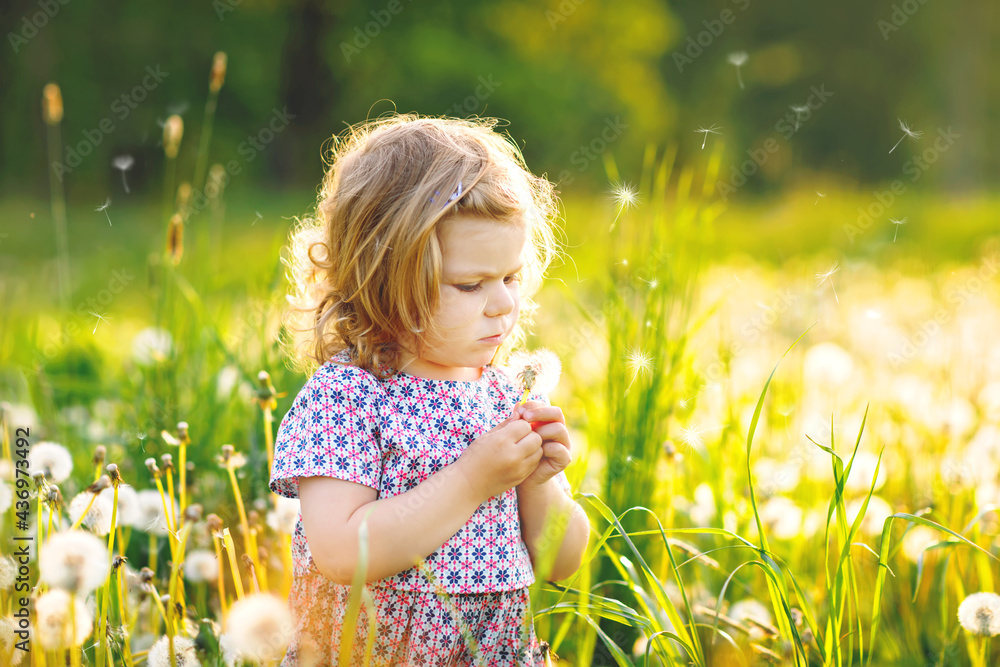 Adorable cute little baby girl blowing on a dandelion flower on the nature in the summer. Happy healthy beautiful toddler child with blowball, having fun. Bright sunset light, active kid. Adorable cute little baby girl blowing on a dandelion flower on the nature in the summer. Happy healthy beautiful toddler child with blowball, having fun. Bright sunset light, active kid.