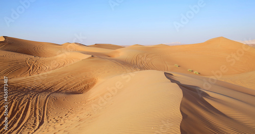 Morning landscape of sandy desert