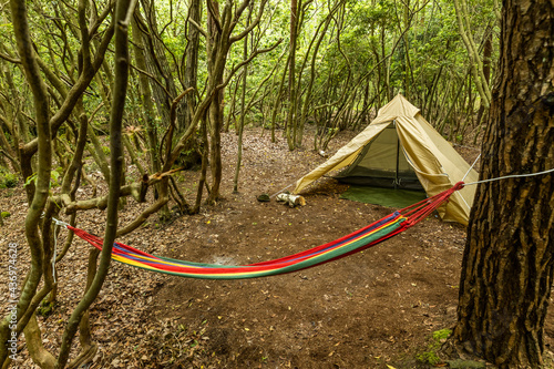 森でキャンプ Camping in the early summer forest 