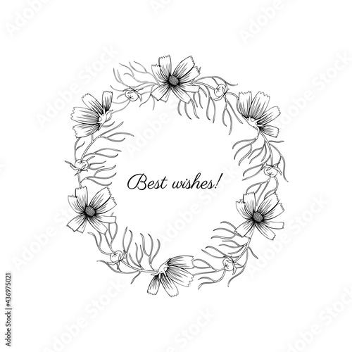 Decorative botanical wreath, round frame Cosmos flower, kosmeya hand drawn doodle ink sketch illustration, wild kosmos flower astra, floral design for greeting card, wedding invite, cosmetic