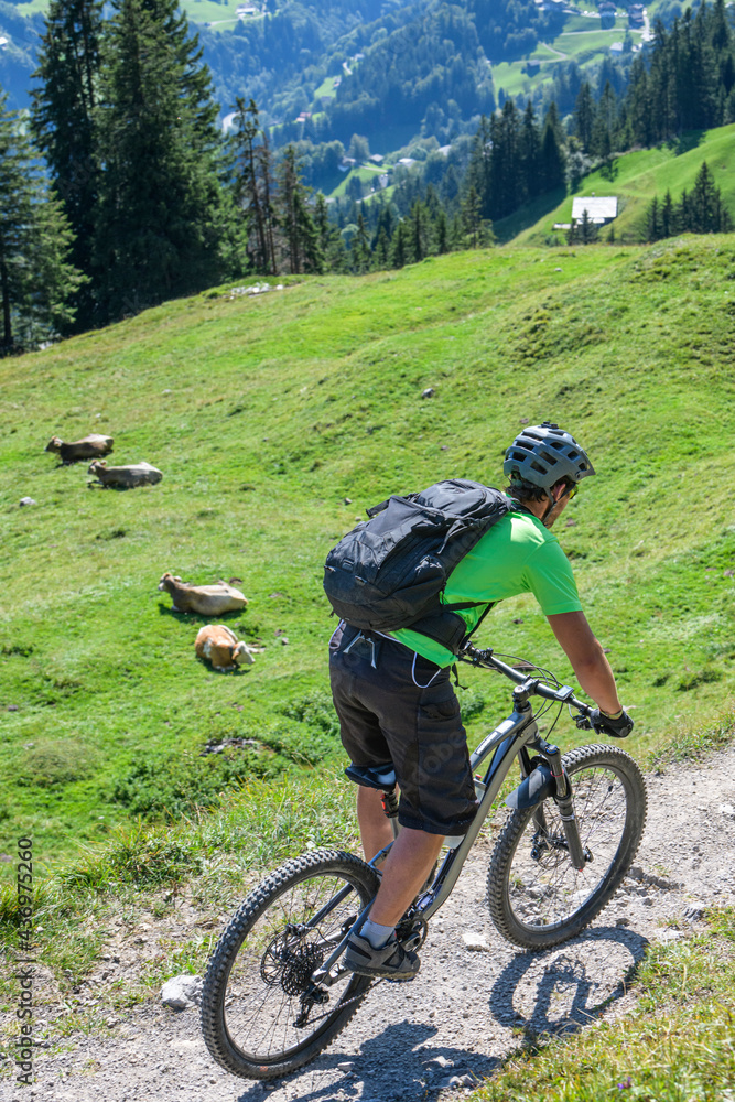 Fototapeta premium Anspruchsvolle Radtour auf Single-Trails im Montafon