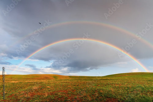 after the rain, a double rainbow over the fields of lush grass in the fields of Kyrgyzstan, a bird is flying, the light of the sun