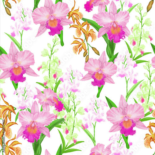Pink Cattleya orchid flower blossom seamless pattern on white background, illustration © Arunee