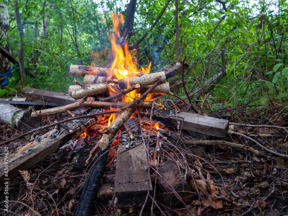 Image of flames, burning dry twigs. The concept of danger, respect for nature. Fires in the forest. Image of flames, burning dry twigs. The concept of danger, respect for nature. Fires in the forest.