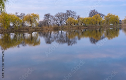 Fototapeta Naklejka Na Ścianę i Meble -  Morning landscape with Zaplavka  river in Gupalivka village, central Ukraine.