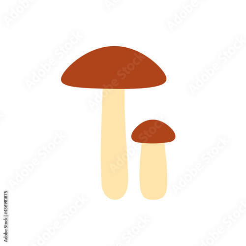 Birch bolete icon. Vector isolated flat color icon. Modern glyph sticker design. Illustrations of mushrooms. Food ingredients.