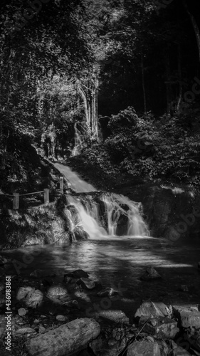 waterfall in the forest