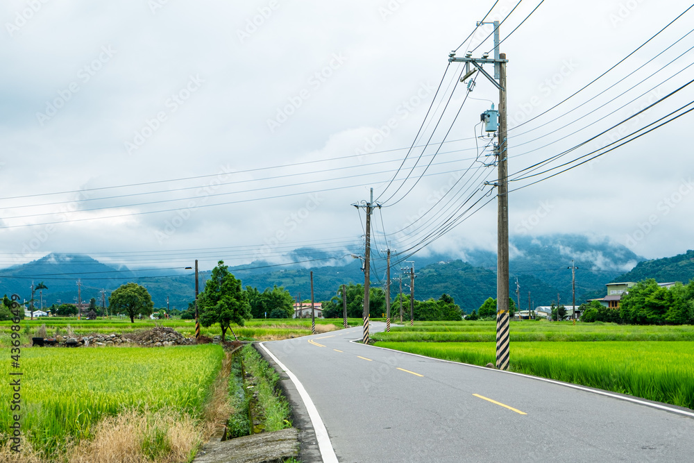 Unmanned curvy country roads in eastern Taiwan, with rice fields full of roadsides