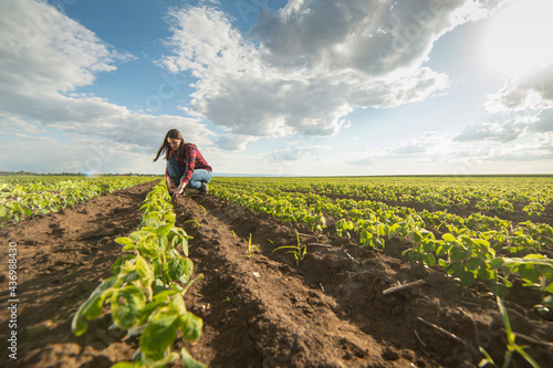 A young female farmer in a soybean field
