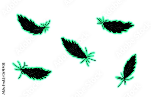 Dark green feathers
