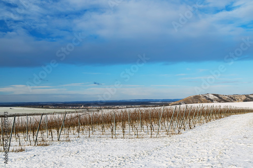 Fototapeta Naklejka Na Ścianę i Meble -  Winter landscape near Popice, Southern Moravia, Czech Republic