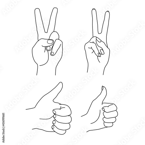 Hands of woman and man show gestures piece and thumb up. Sign of victory and like. Vector contour illustration. Line art