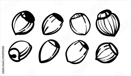 Set of illustrations black and white sketches. Hazelnuts, hazelnuts. Logo or logo for printing on the plotter.